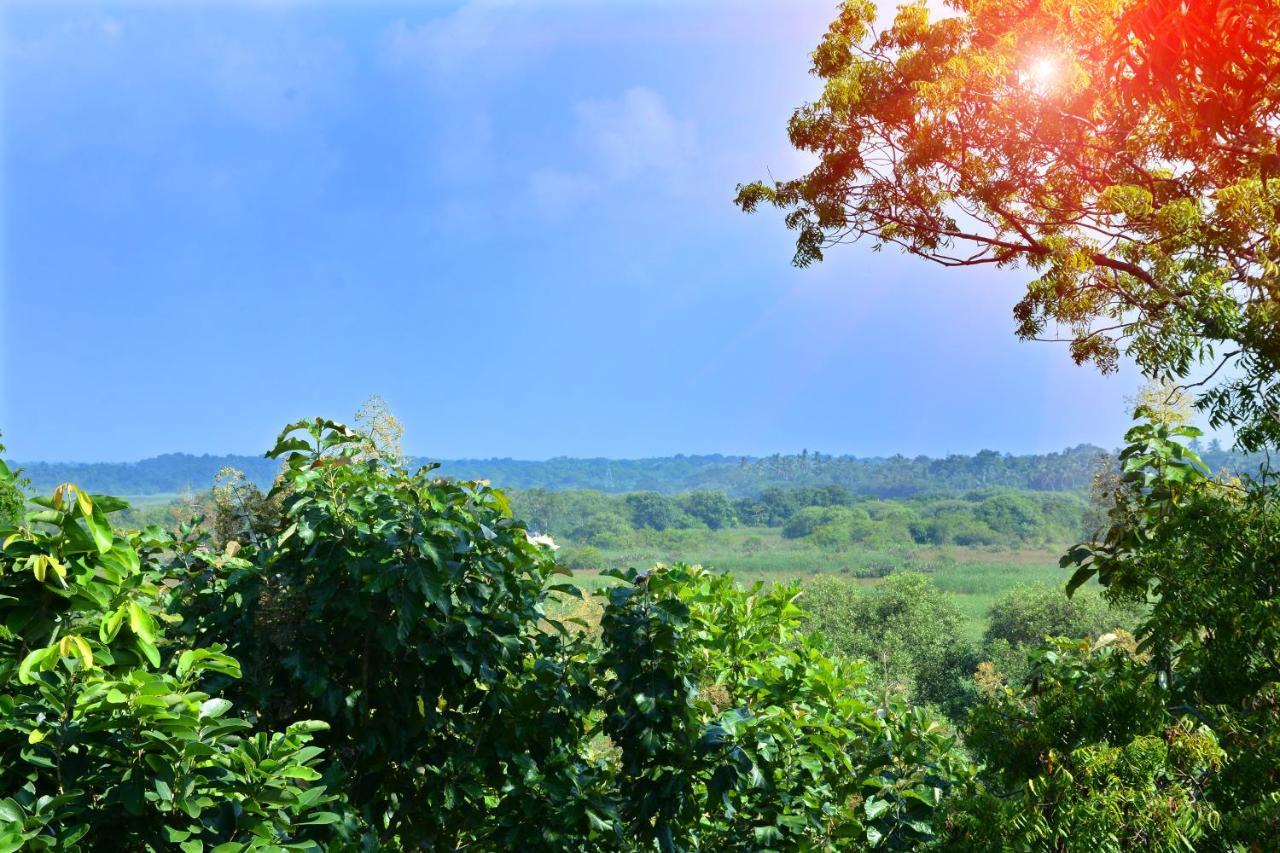 Randu Homestay And Restaurant Tangalle Exterior foto